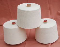 綠色時(shí)尚新浪潮 有機(jī)紡織品市場的巨大潛力與未來展望